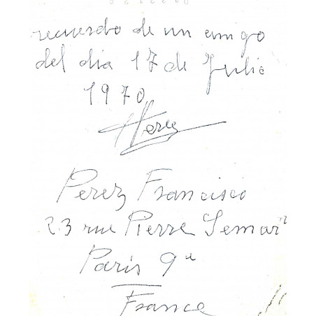 Dorsal de la foro 260