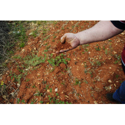 Probando la calidad del...