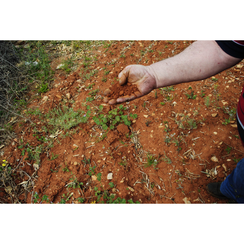 Probando la calidad del fang roig en la zona del Xarrais