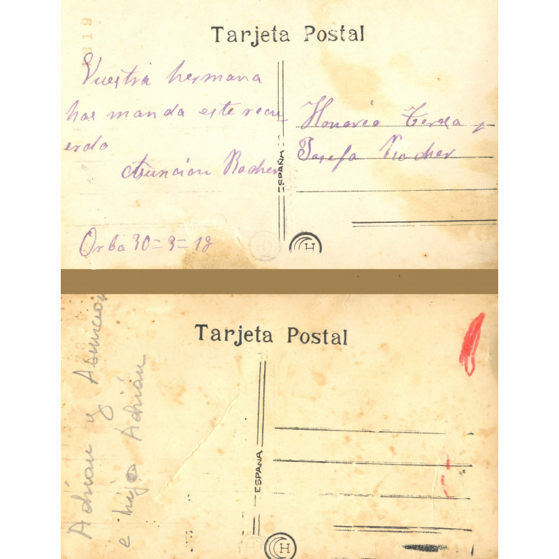 Dorsal de la foto 304 fang