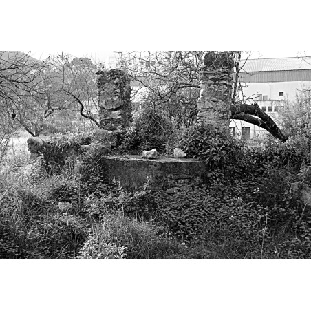 Restos del pou i basses dels "Llosers"