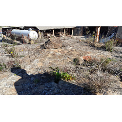 Bóveda del horno de los...