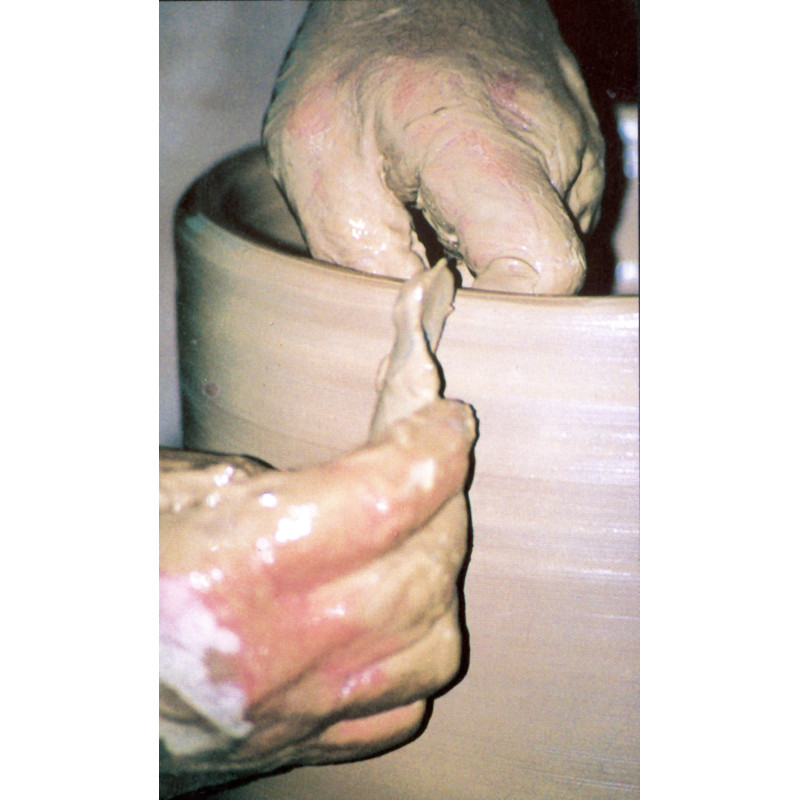 Manitas de Joaquín prats Caravaca - 4