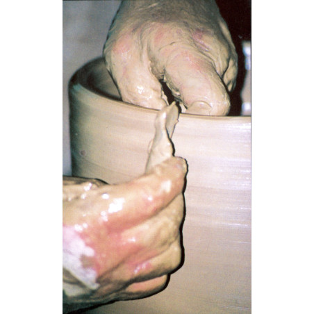 Manitas de Joaquín prats Caravaca - 4