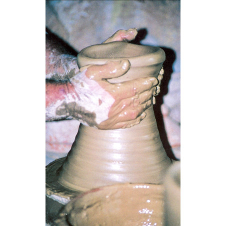 Manitas de Joaquín Prats Caravaca -2