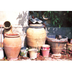 Foto del calendario editado