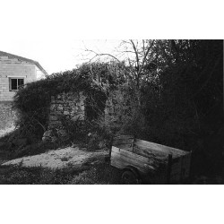 El horno de los Leandro 3