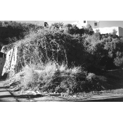 El horno de los Leandro 2