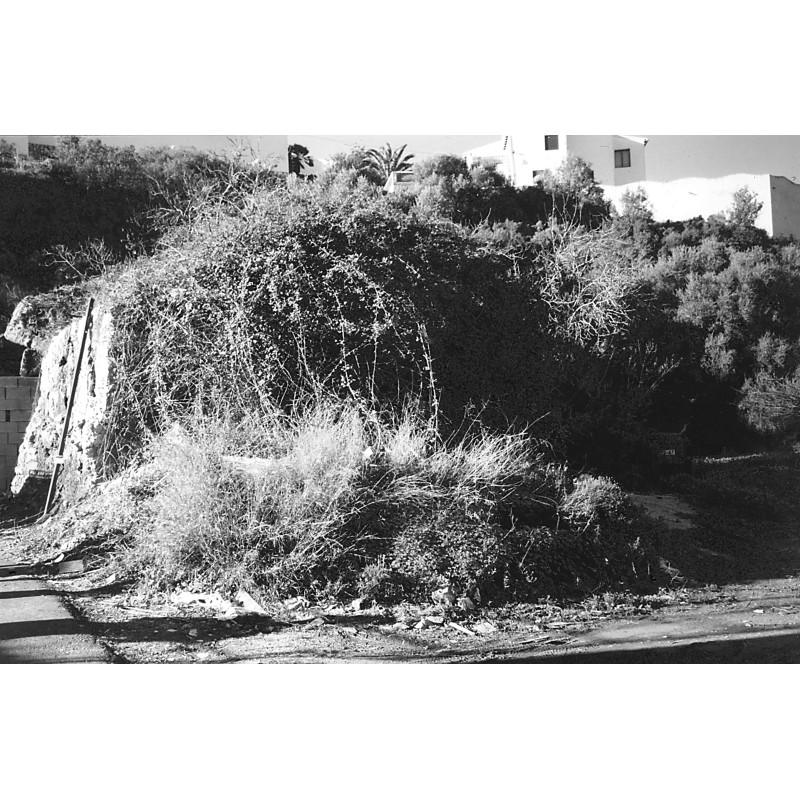 El horno de los Leandro 2