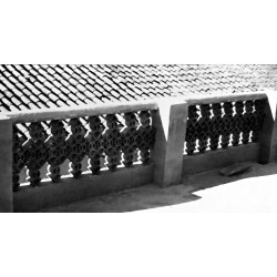 Celosias cuyo modelo fue...