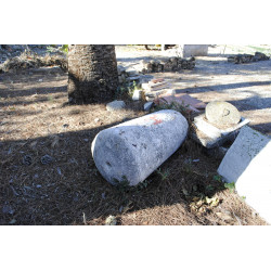 Trull en el terreno de la...